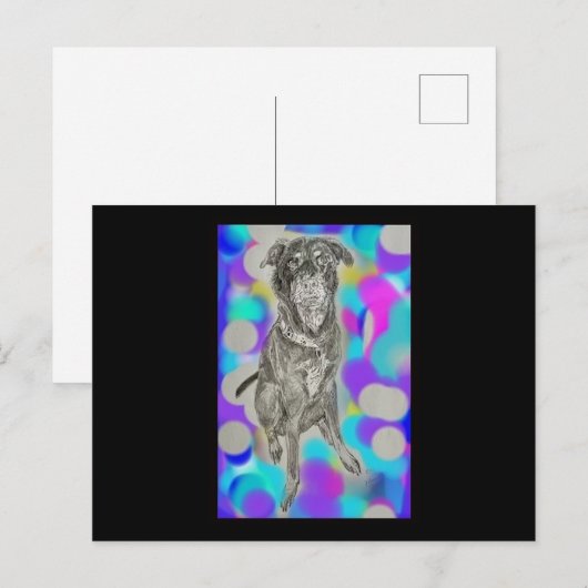 Briefkaart (Voorkant / Achterkant)