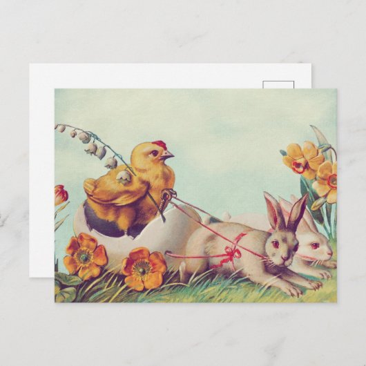 Briefkaart (Voorkant / Achterkant)