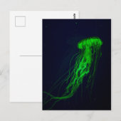 Briefkaart (Voorkant / Achterkant)