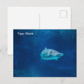 Briefkaart (Voorkant / Achterkant)