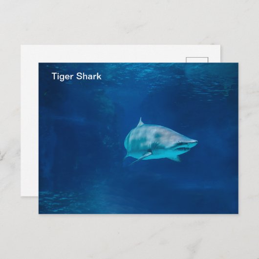 Briefkaart (Voorkant / Achterkant)