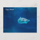 Briefkaart (Voorkant)