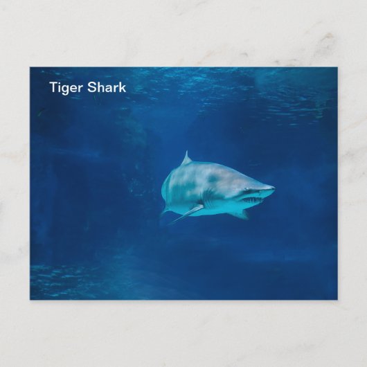 Briefkaart (Voorkant)