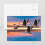 Briefkaart (Voorkant / Achterkant)