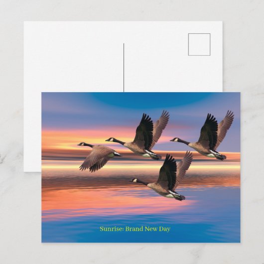 Briefkaart (Voorkant / Achterkant)