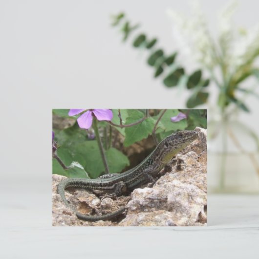 Briefkaart (Staand voorkant)