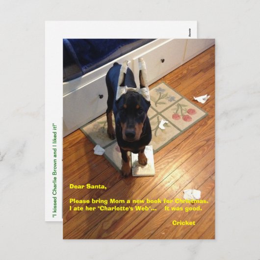 Briefkaart (Voorkant / Achterkant)