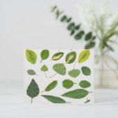 Briefkaart (Staand voorkant)