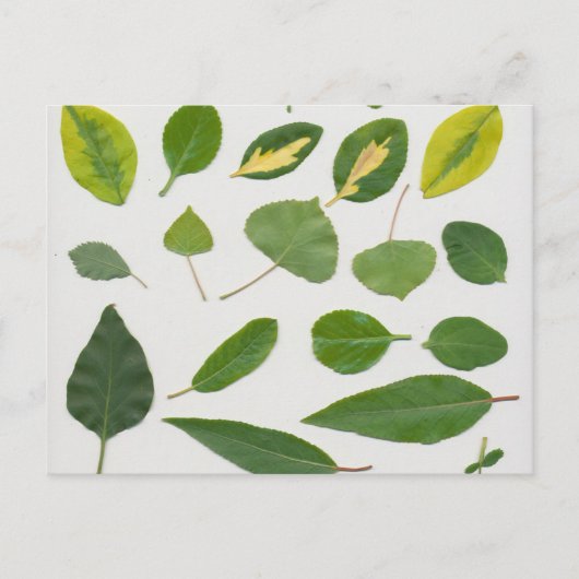 Briefkaart (Voorkant)