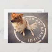 Briefkaart (Voorkant / Achterkant)