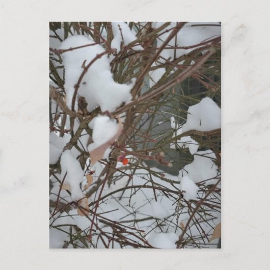 Briefkaart (Voorkant)