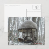 Briefkaart (Voorkant / Achterkant)