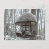 Briefkaart (Voorkant)
