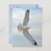 Briefkaart (Voorkant / Achterkant)