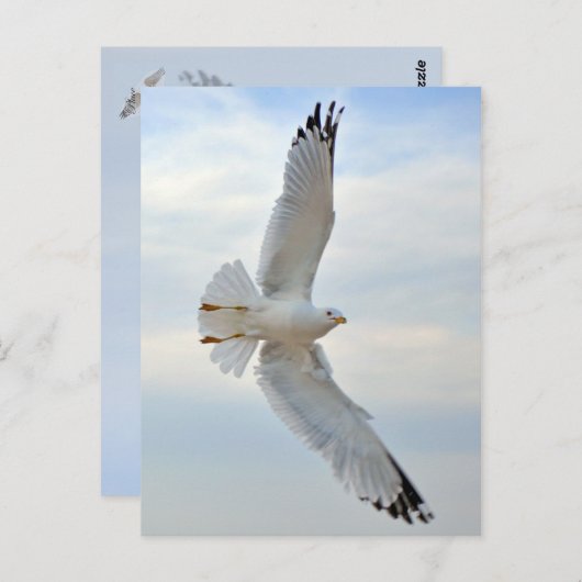 Briefkaart (Voorkant / Achterkant)