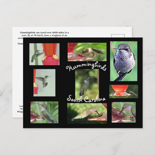 Briefkaart (Voorkant / Achterkant)