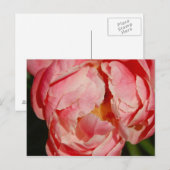 Briefkaart (Voorkant / Achterkant)
