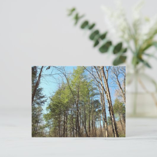 Briefkaart (Staand voorkant)