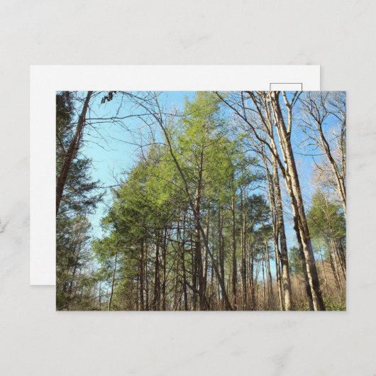 Briefkaart (Voorkant / Achterkant)