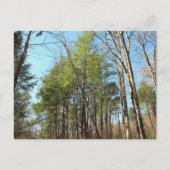 Briefkaart (Voorkant)