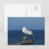 Briefkaart (Voorkant / Achterkant)