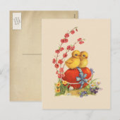 briefkaart (Voorkant / Achterkant)