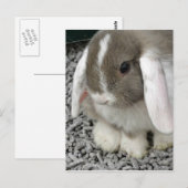 briefkaart (Voorkant / Achterkant)