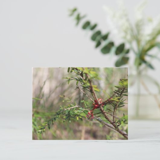 Briefkaart (Staand voorkant)