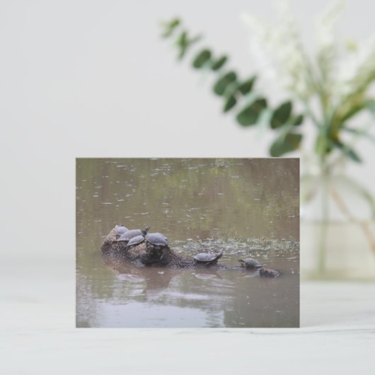 Briefkaart (Staand voorkant)