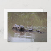 Briefkaart (Voorkant / Achterkant)