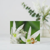 Briefkaart (Staand voorkant)