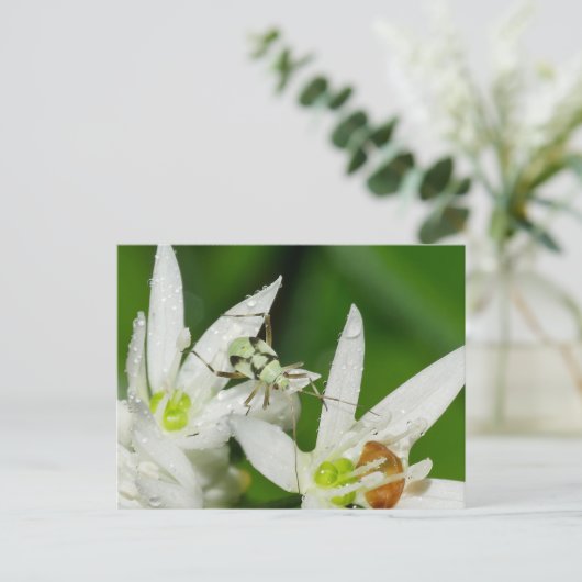 Briefkaart (Staand voorkant)