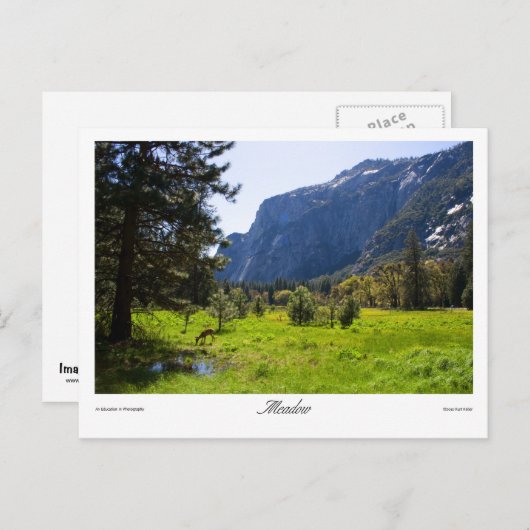 Briefkaart (Voorkant / Achterkant)