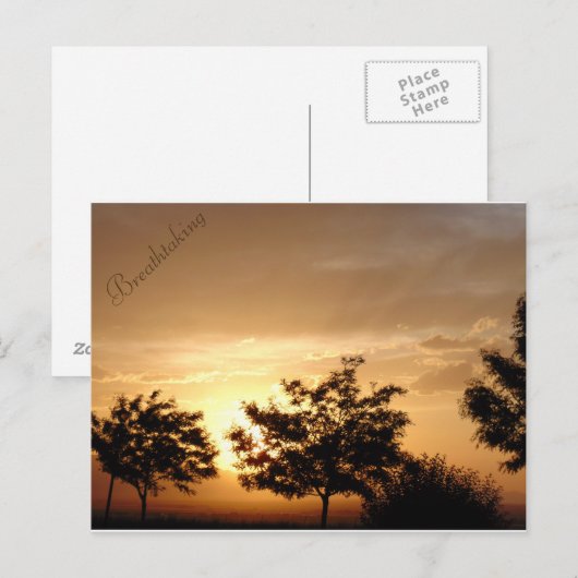 Briefkaart (Voorkant / Achterkant)