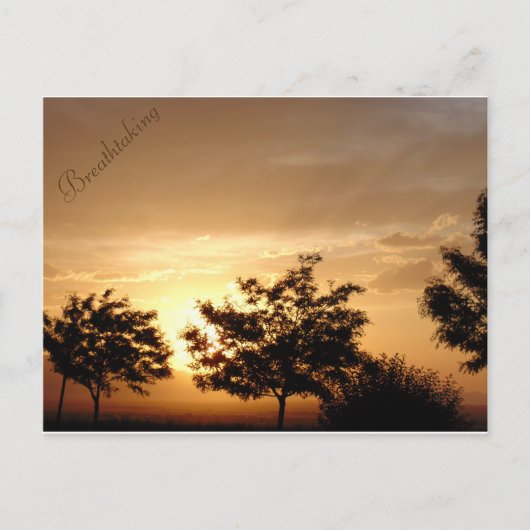 Briefkaart (Voorkant)