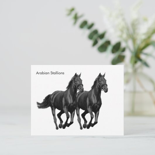 Briefkaart (Staand voorkant)