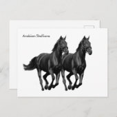 Briefkaart (Voorkant / Achterkant)