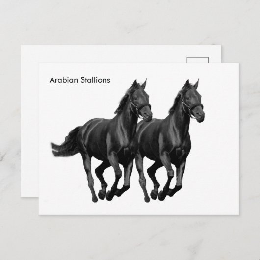 Briefkaart (Voorkant / Achterkant)