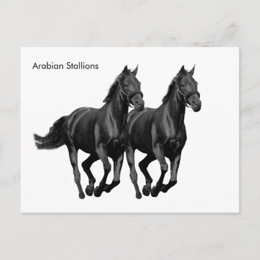 Briefkaart (Voorkant)