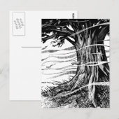 Briefkaart (Voorkant / Achterkant)