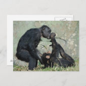 Briefkaart (Voorkant / Achterkant)