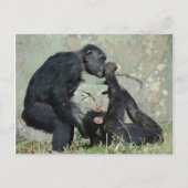 Briefkaart (Voorkant)