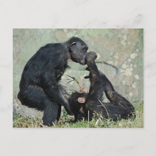 Briefkaart (Voorkant)