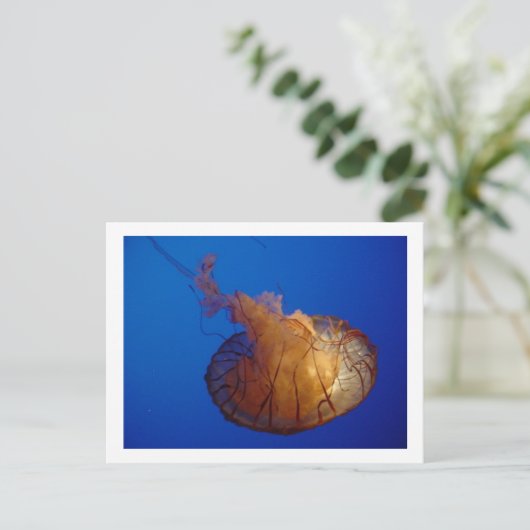 Briefkaart (Staand voorkant)