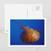 Briefkaart (Voorkant / Achterkant)