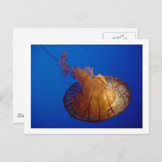 Briefkaart (Voorkant / Achterkant)