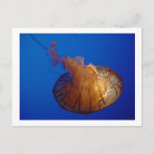 Briefkaart (Voorkant)