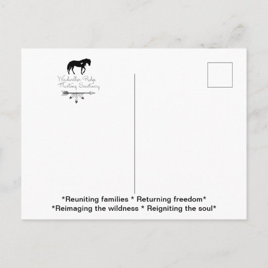 Briefkaart (Achterkant)