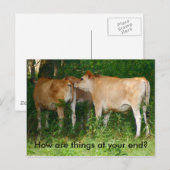 Briefkaart (Voorkant / Achterkant)