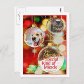 briefkaart (Voorkant / Achterkant)